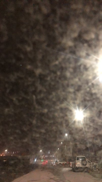 مشاركاتي في أنت الراصد