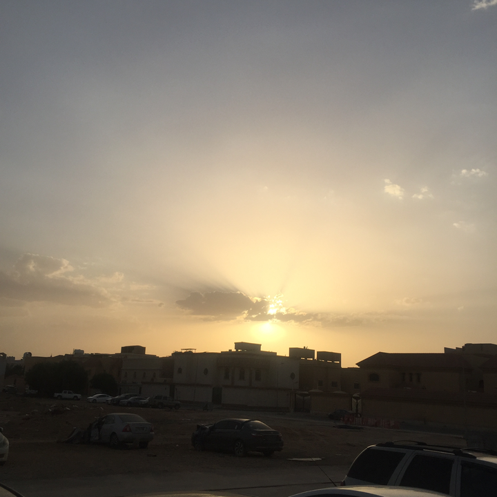 مشاركاتي في أنت الراصد