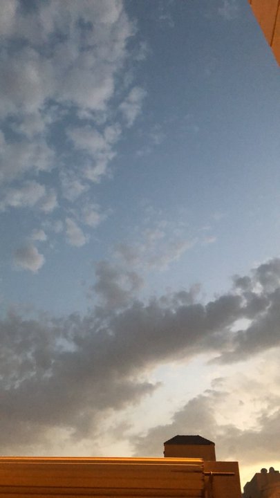 مشاركاتي في أنت الراصد