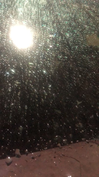 Mes publications Crowdsourcing