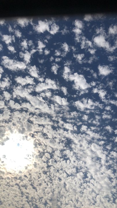 Mes publications Crowdsourcing