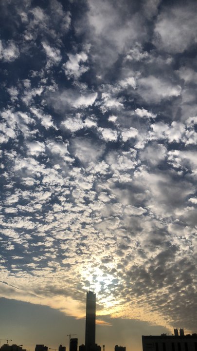 Mes publications Crowdsourcing