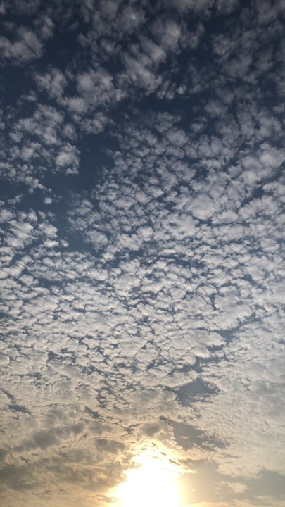 My Crowdsourcing Posts