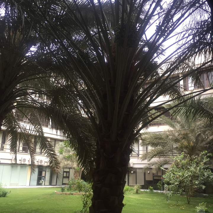 مشاركاتي في أنت الراصد