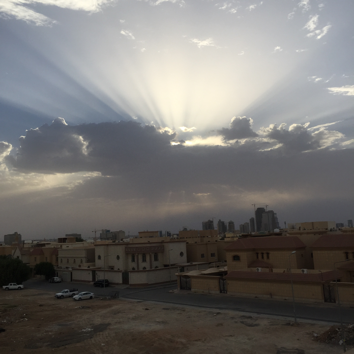 مشاركاتي في أنت الراصد