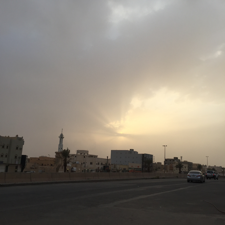 مشاركاتي في أنت الراصد