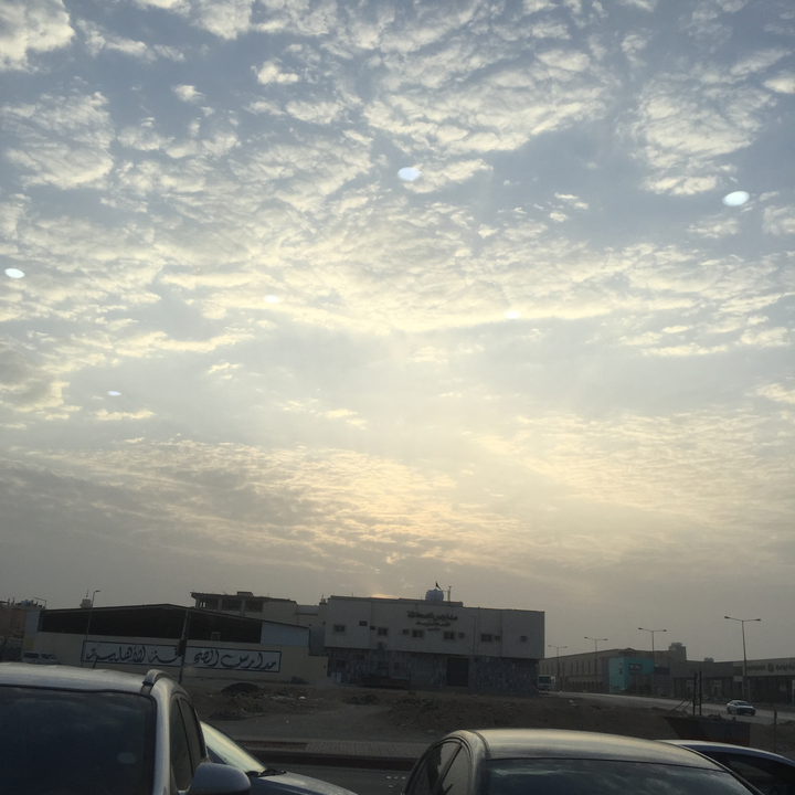 مشاركاتي في أنت الراصد