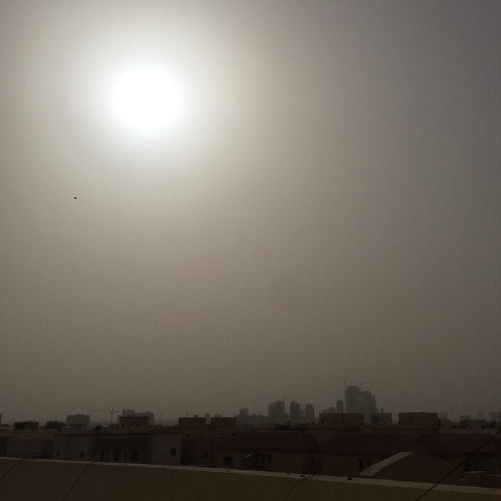 مشاركاتي في أنت الراصد