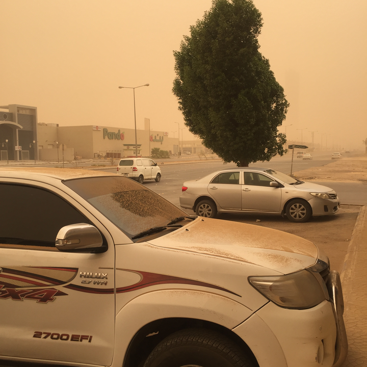 مشاركاتي في أنت الراصد