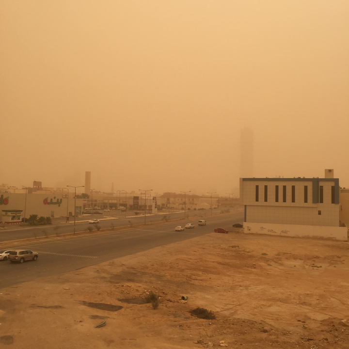 مشاركاتي في أنت الراصد