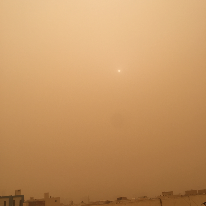 مشاركاتي في أنت الراصد