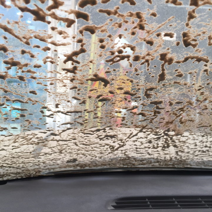 مشاركاتي في أنت الراصد