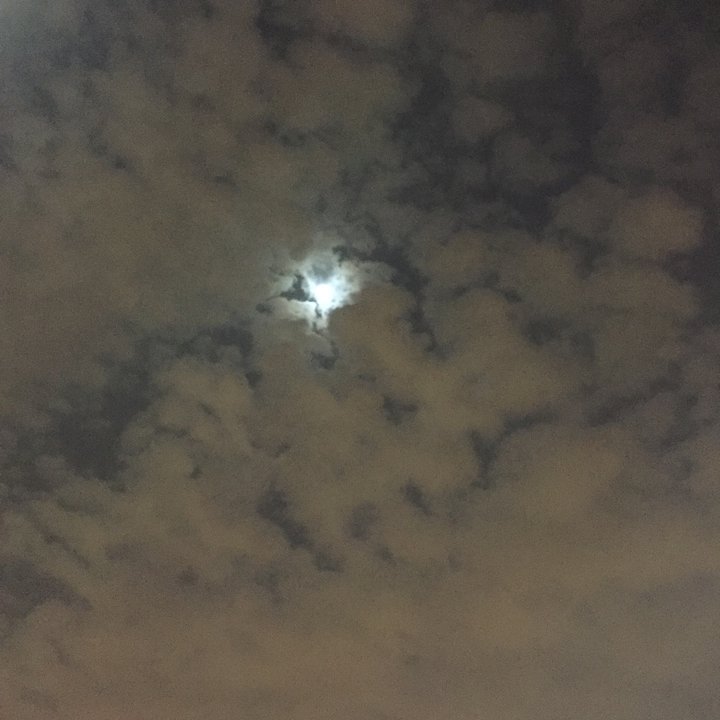 My Crowdsourcing Posts