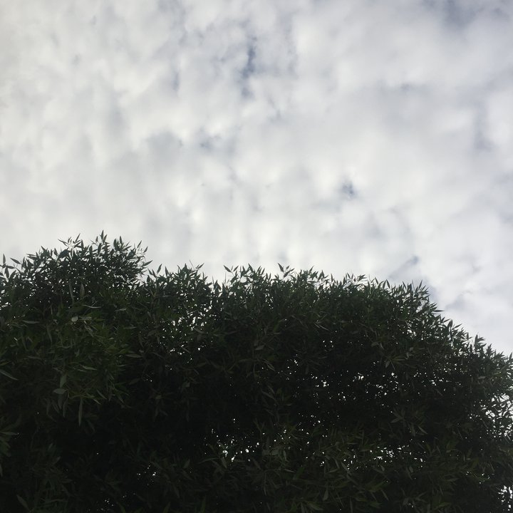 My Crowdsourcing Posts