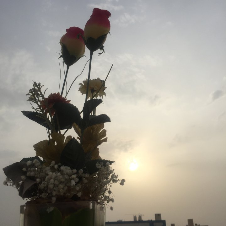 My Crowdsourcing Posts