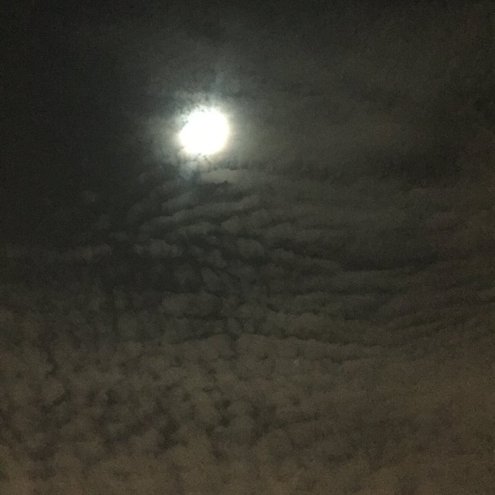 My Crowdsourcing Posts