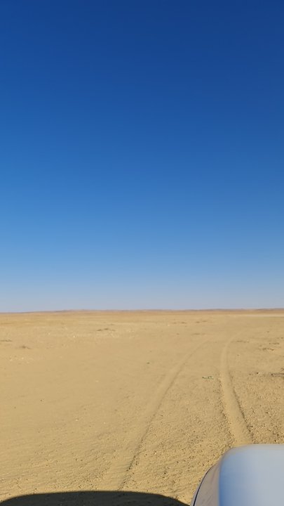 مشاركاتي في أنت الراصد