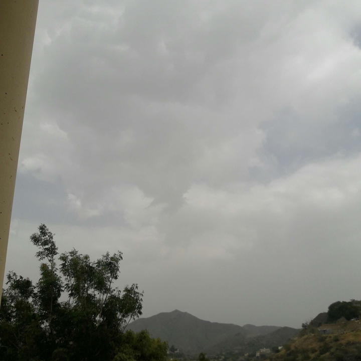 مشاركاتي في أنت الراصد