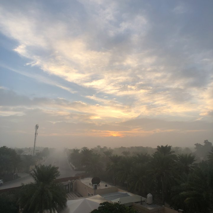 مشاركاتي في أنت الراصد