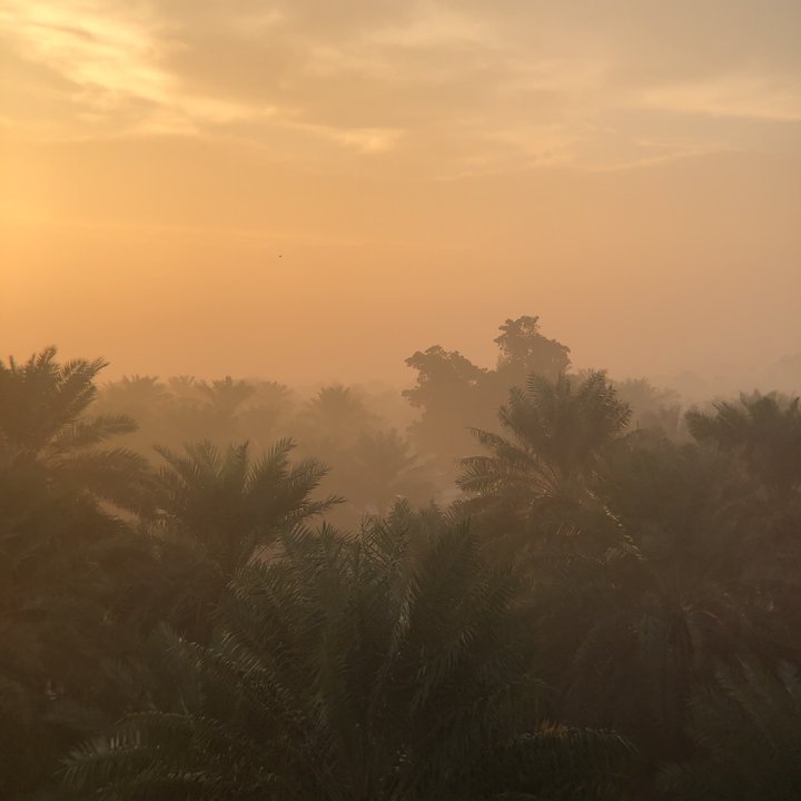 مشاركاتي في أنت الراصد