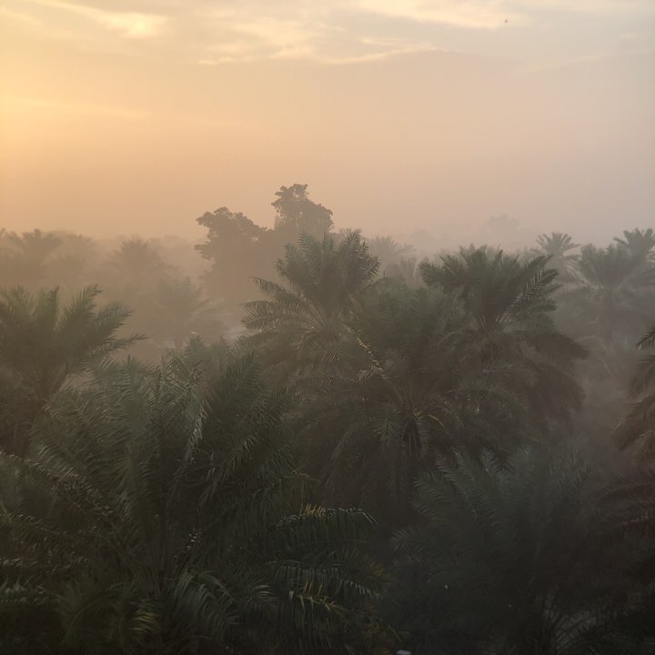 مشاركاتي في أنت الراصد