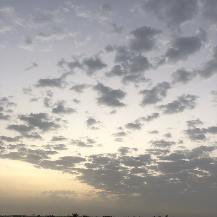 مشاركاتي في أنت الراصد