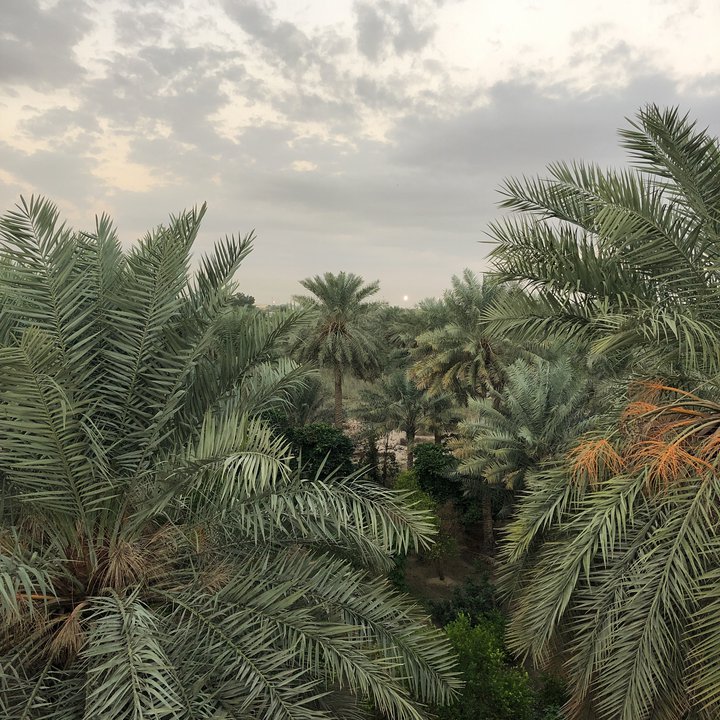 مشاركاتي في أنت الراصد