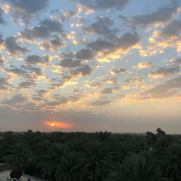 مشاركاتي في أنت الراصد