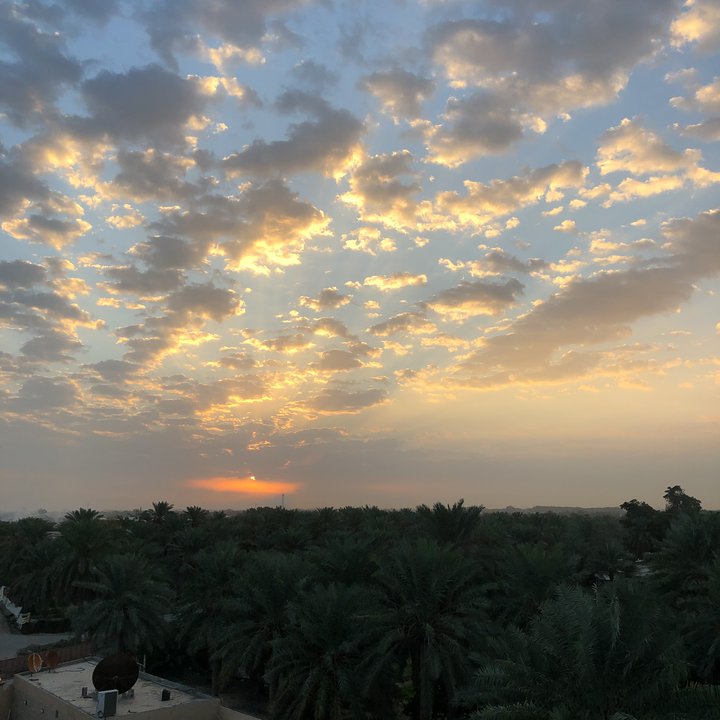 مشاركاتي في أنت الراصد