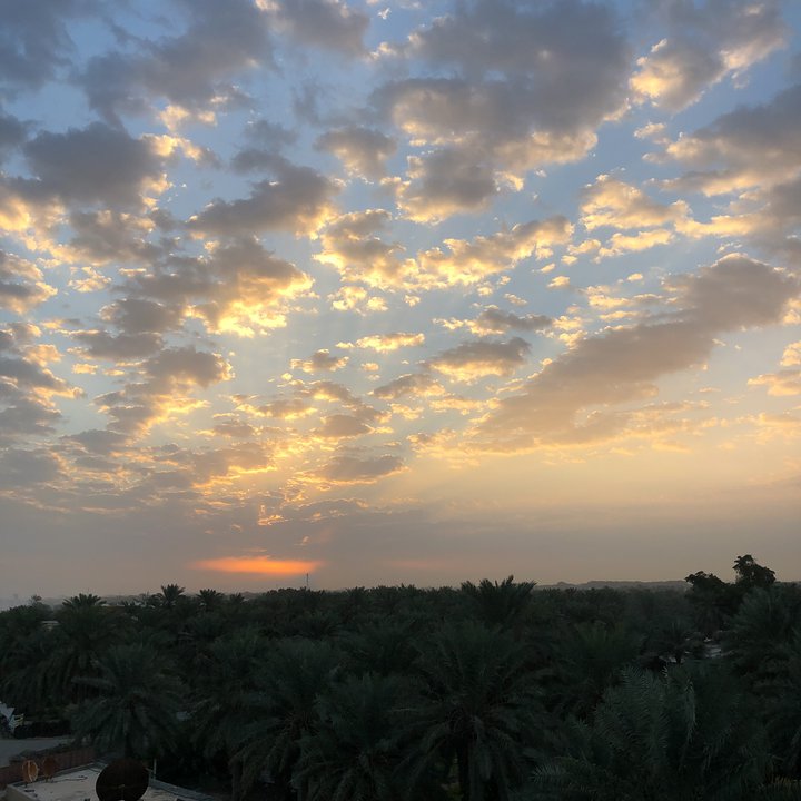 مشاركاتي في أنت الراصد