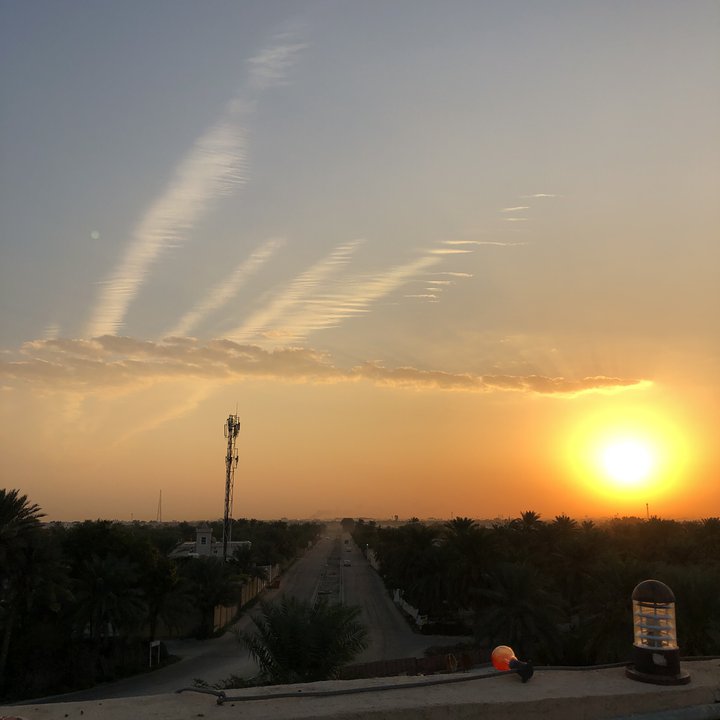 مشاركاتي في أنت الراصد