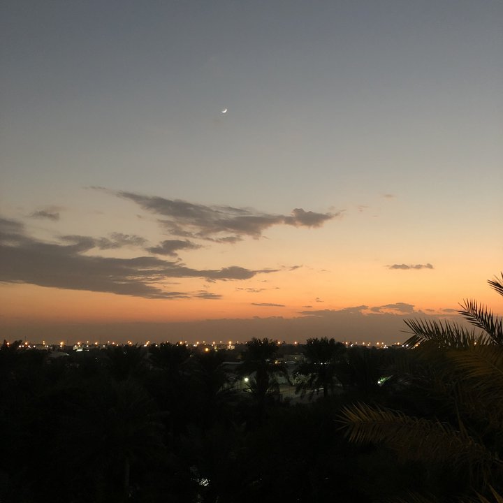 مشاركاتي في أنت الراصد