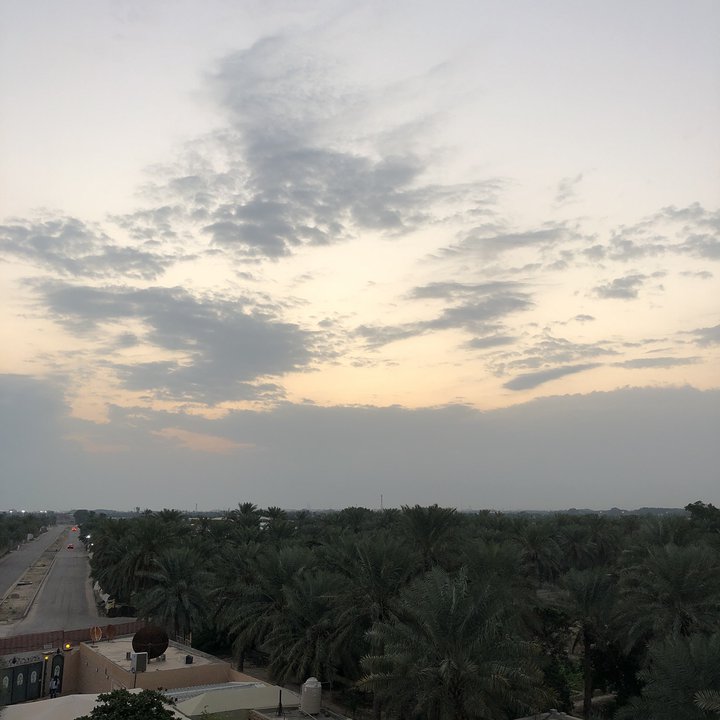 مشاركاتي في أنت الراصد