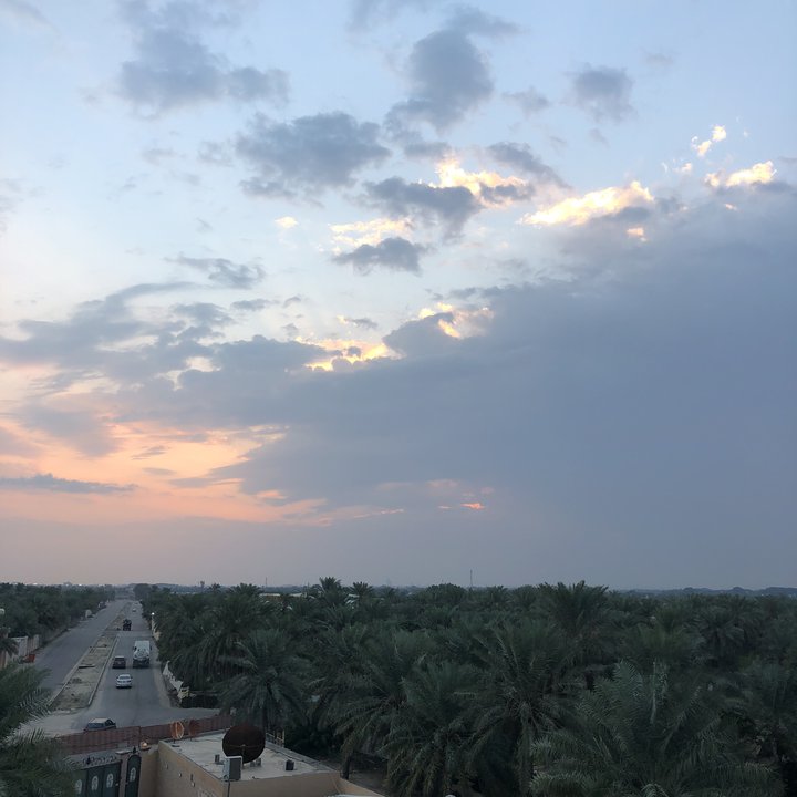 مشاركاتي في أنت الراصد