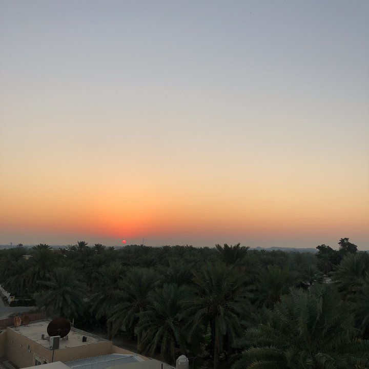 مشاركاتي في أنت الراصد