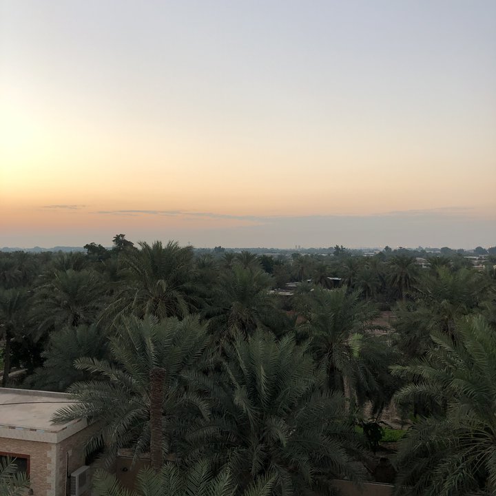 مشاركاتي في أنت الراصد