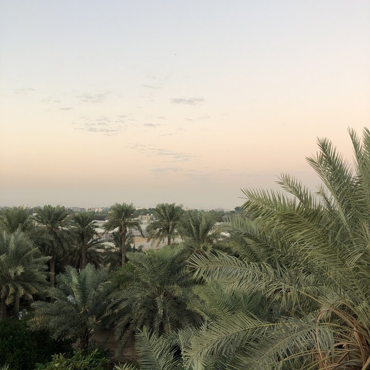 مشاركاتي في أنت الراصد