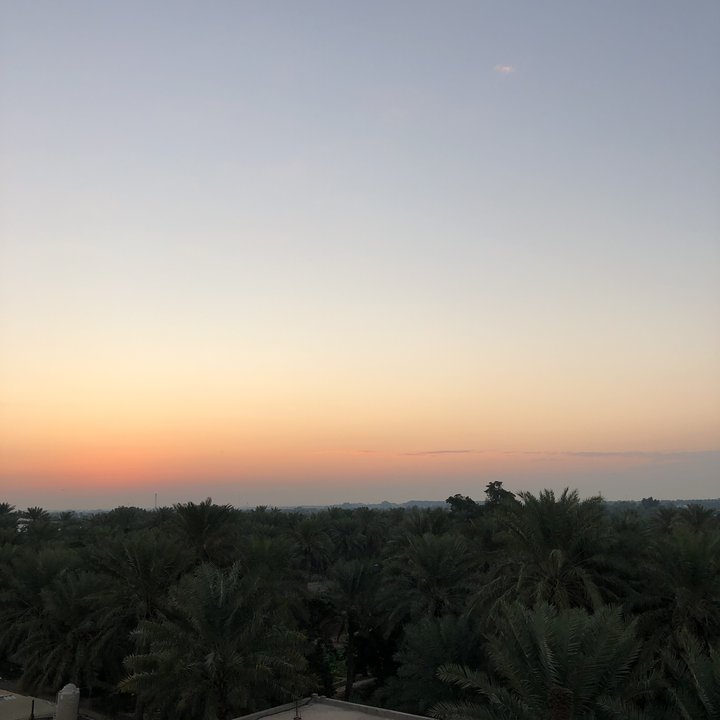 مشاركاتي في أنت الراصد