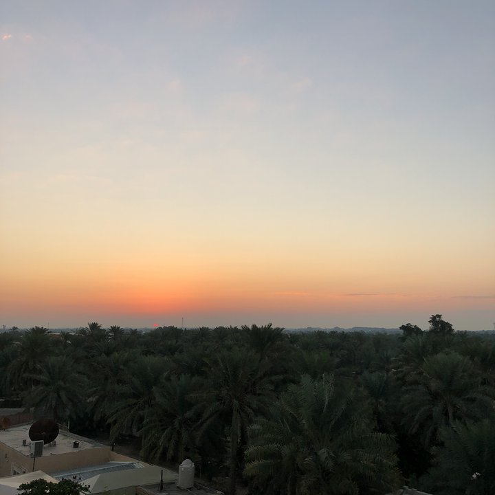 مشاركاتي في أنت الراصد