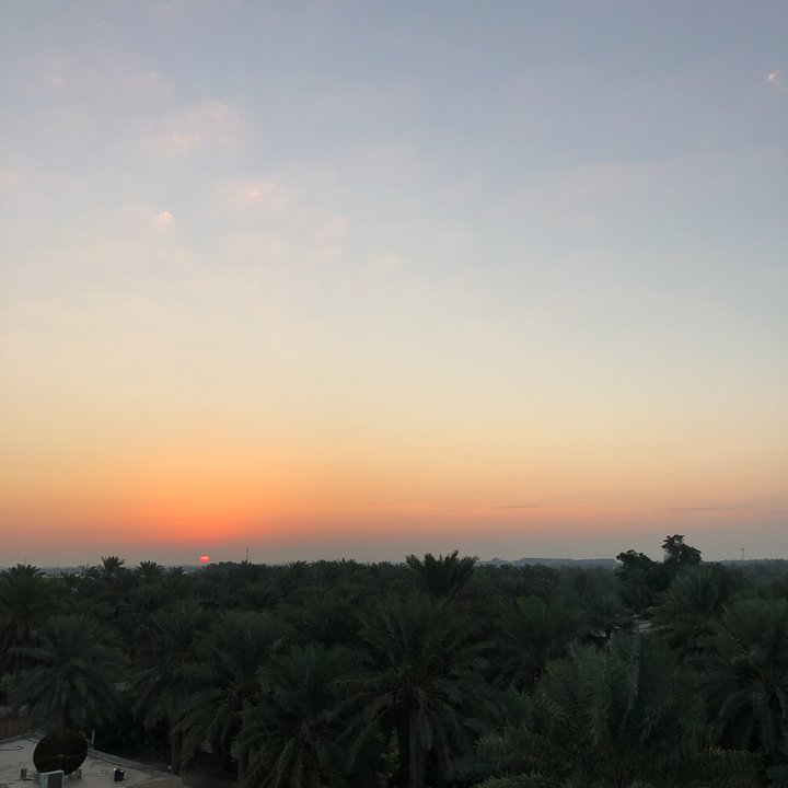 مشاركاتي في أنت الراصد