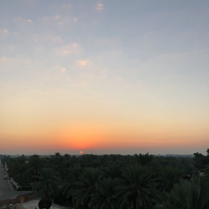 مشاركاتي في أنت الراصد