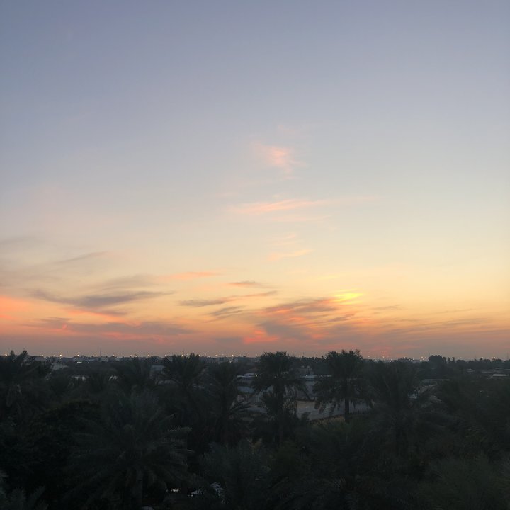 مشاركاتي في أنت الراصد