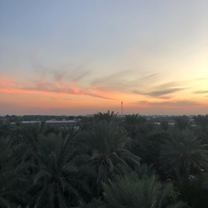 مشاركاتي في أنت الراصد