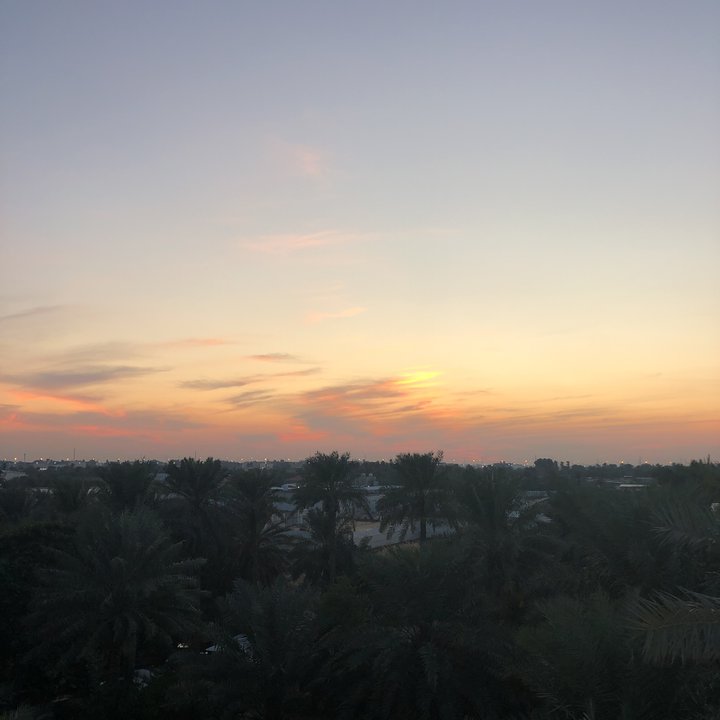 مشاركاتي في أنت الراصد