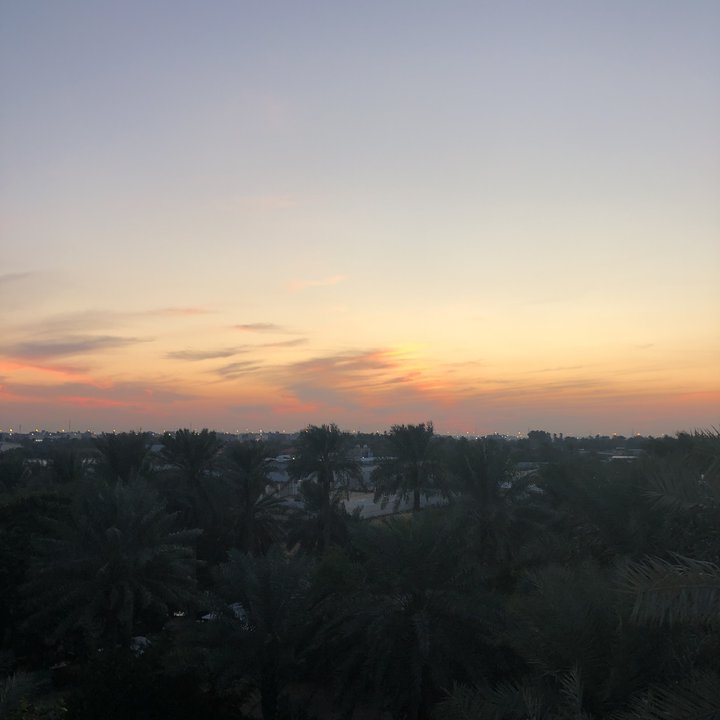 مشاركاتي في أنت الراصد