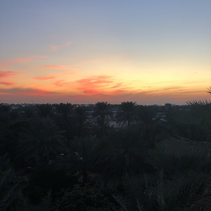 مشاركاتي في أنت الراصد