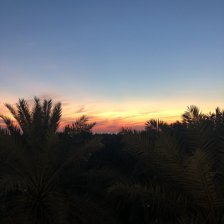 مشاركاتي في أنت الراصد