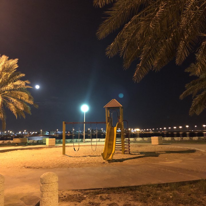 مشاركاتي في أنت الراصد