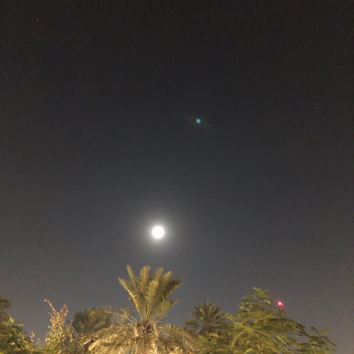 مشاركاتي في أنت الراصد