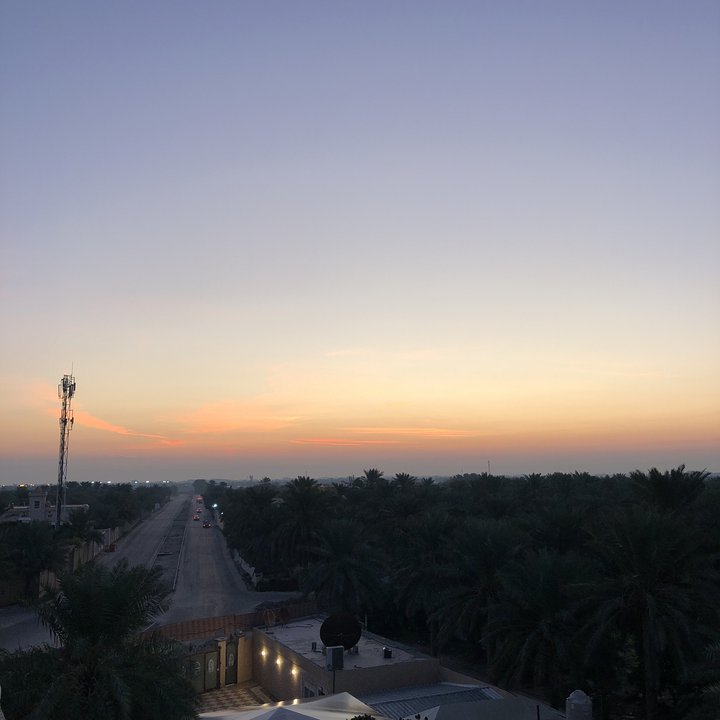 مشاركاتي في أنت الراصد